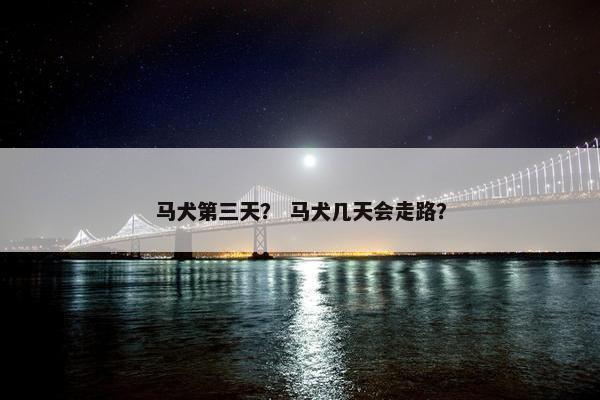 马犬第三天？ 马犬几天会走路？