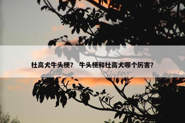 杜高犬牛头梗？ 牛头梗和杜高犬哪个厉害？
