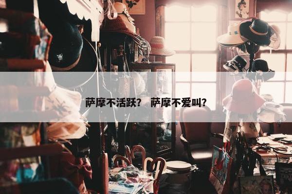 萨摩不活跃？ 萨摩不爱叫？