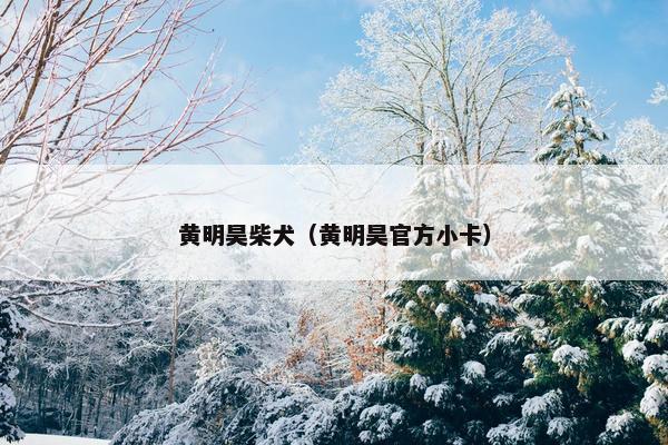 黄明昊柴犬（黄明昊官方小卡）