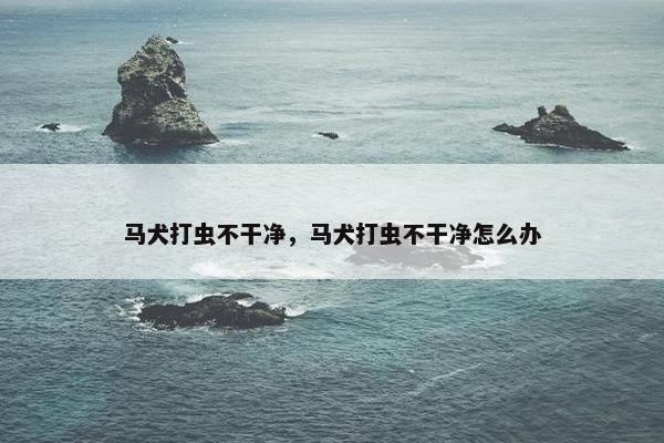 马犬打虫不干净，马犬打虫不干净怎么办