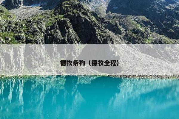 德牧条狗（德牧全程）