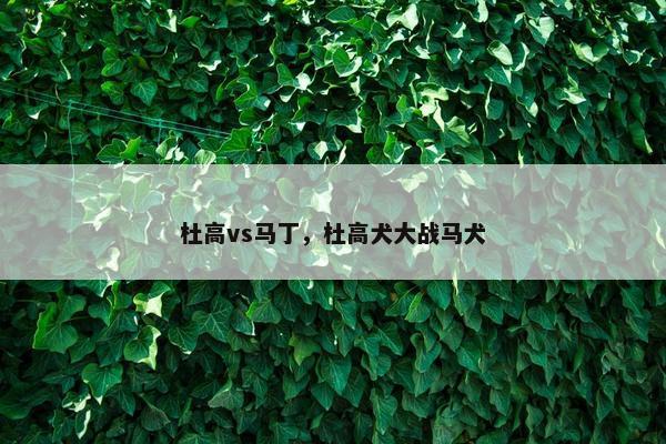 杜高vs马丁，杜高犬大战马犬
