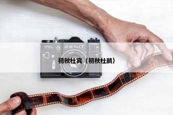 初秋杜宾（初秋杜鹃）