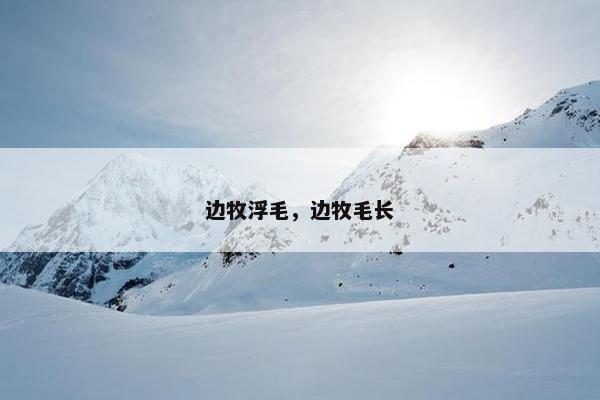 边牧浮毛，边牧毛长