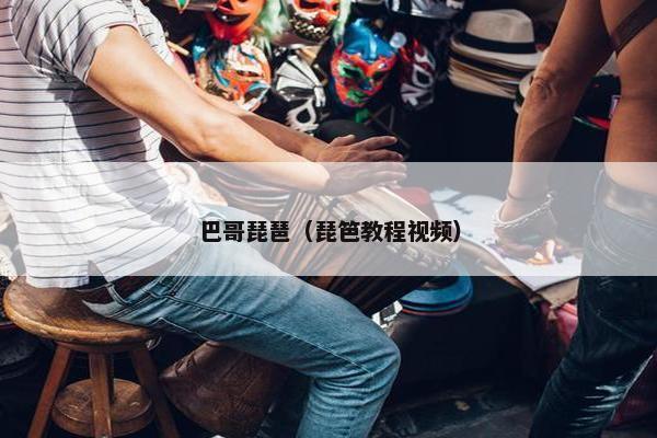 巴哥琵琶（琵笆教程视频）