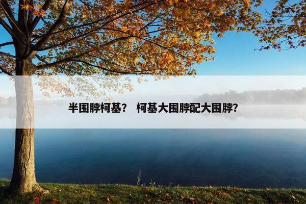 半围脖柯基？ 柯基大围脖配大围脖？