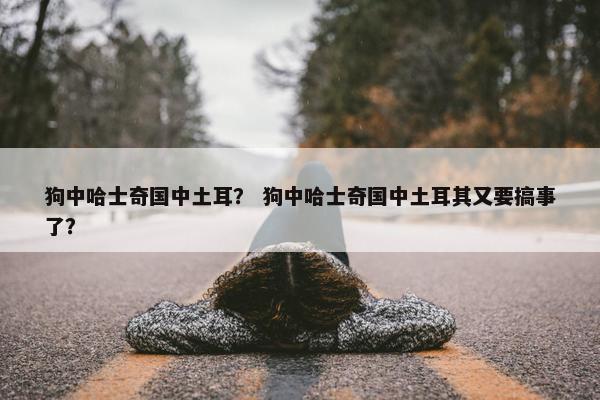 狗中哈士奇国中土耳？ 狗中哈士奇国中土耳其又要搞事了？