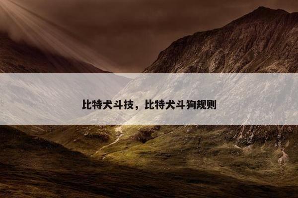 比特犬斗技，比特犬斗狗规则