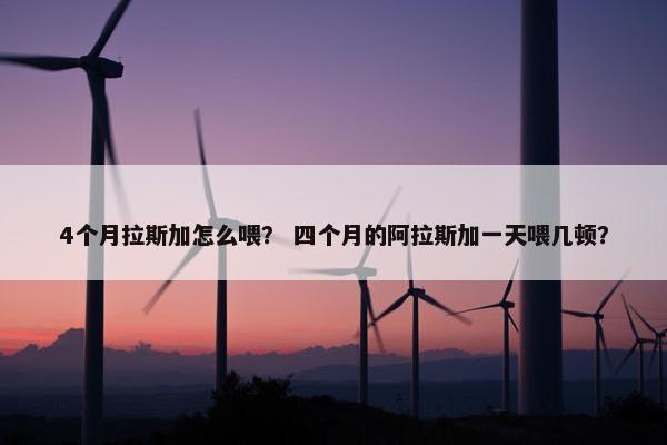 4个月拉斯加怎么喂？ 四个月的阿拉斯加一天喂几顿？