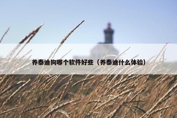 养泰迪狗哪个软件好些（养泰迪什么体验）