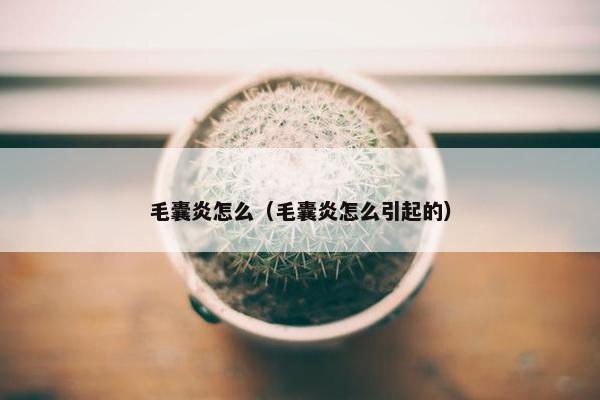 毛囊炎怎么（毛囊炎怎么引起的）