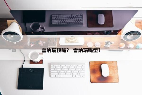 雪纳瑞顶嘴？ 雪纳瑞嘴型？