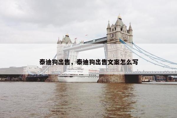 泰迪狗出售，泰迪狗出售文案怎么写