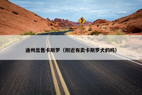 通州出售卡斯罗（附近有卖卡斯罗犬的吗）
