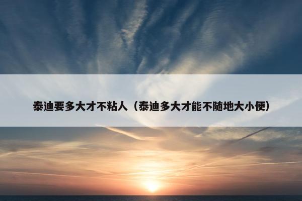 泰迪要多大才不粘人（泰迪多大才能不随地大小便）