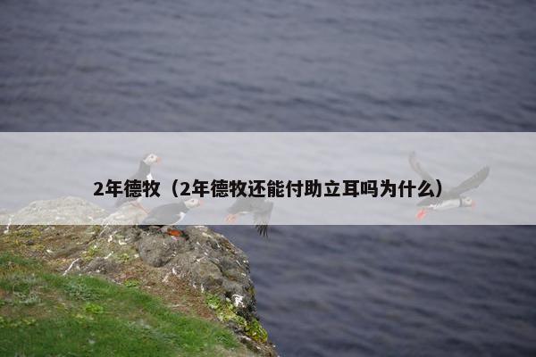 2年德牧（2年德牧还能付助立耳吗为什么）