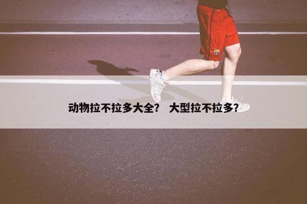动物拉不拉多大全？ 大型拉不拉多？