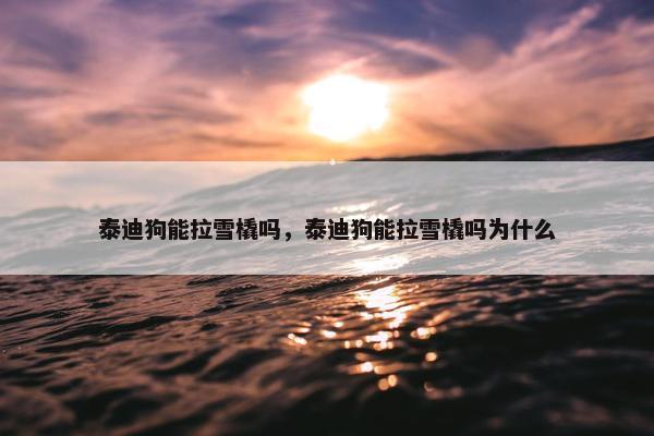 泰迪狗能拉雪橇吗，泰迪狗能拉雪橇吗为什么