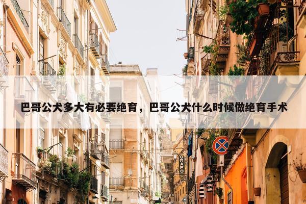 巴哥公犬多大有必要绝育，巴哥公犬什么时候做绝育手术