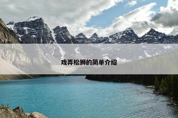 戏弄松狮的简单介绍