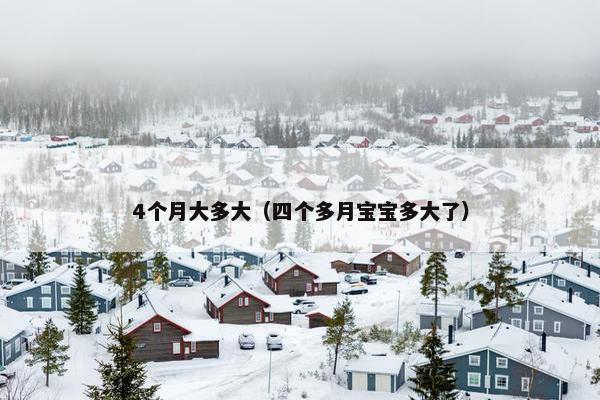 4个月大多大（四个多月宝宝多大了）