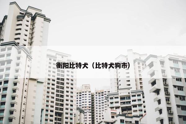 衡阳比特犬（比特犬狗市）