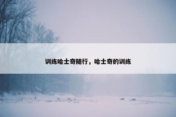 训练哈士奇随行，哈士奇的训练
