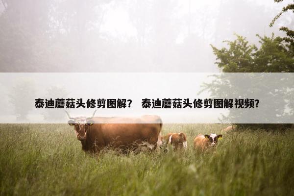 泰迪蘑菇头修剪图解？ 泰迪蘑菇头修剪图解视频？