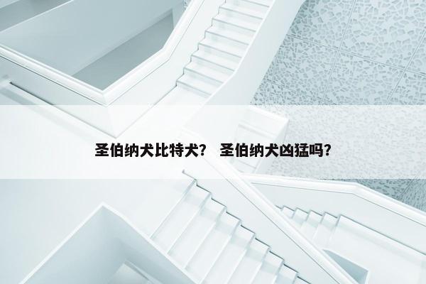 圣伯纳犬比特犬？ 圣伯纳犬凶猛吗？