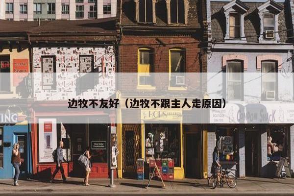 边牧不友好（边牧不跟主人走原因）