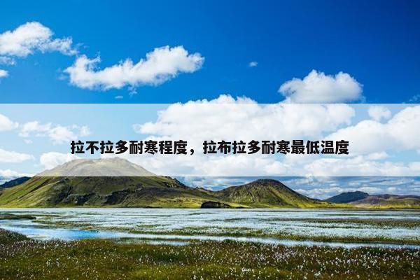 拉不拉多耐寒程度，拉布拉多耐寒最低温度