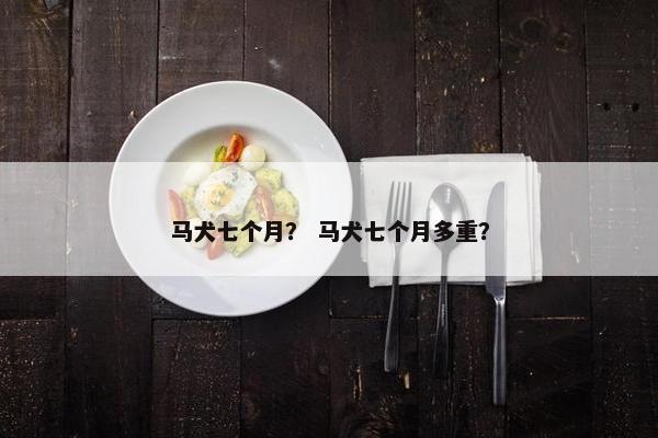 马犬七个月？ 马犬七个月多重？