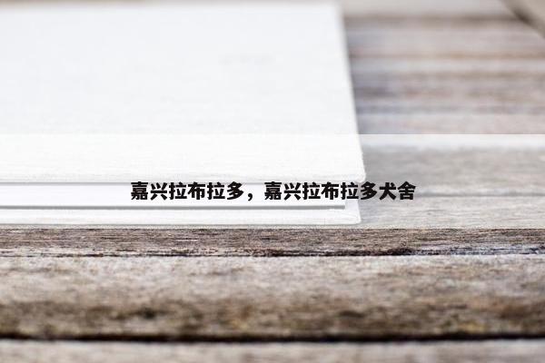 嘉兴拉布拉多，嘉兴拉布拉多犬舍