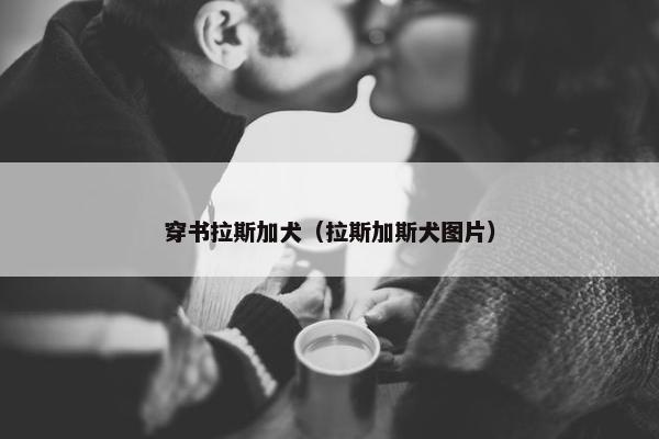 穿书拉斯加犬（拉斯加斯犬图片）