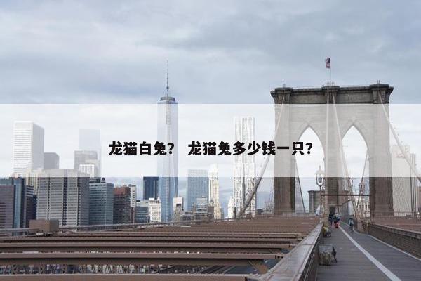 龙猫白兔？ 龙猫兔多少钱一只？