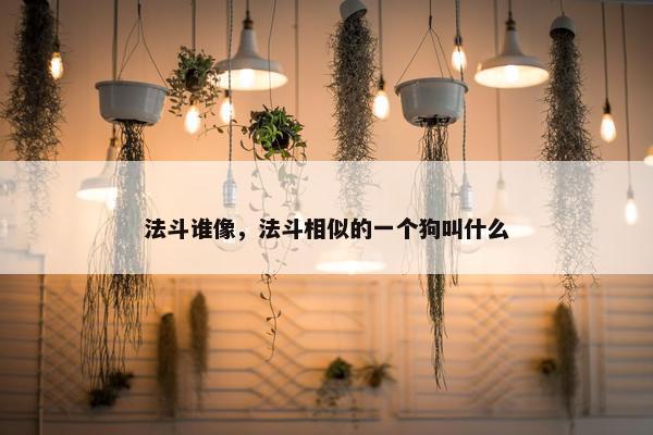 法斗谁像，法斗相似的一个狗叫什么