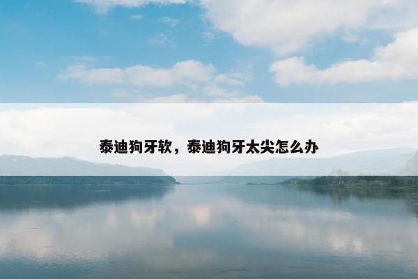 泰迪狗牙软，泰迪狗牙太尖怎么办
