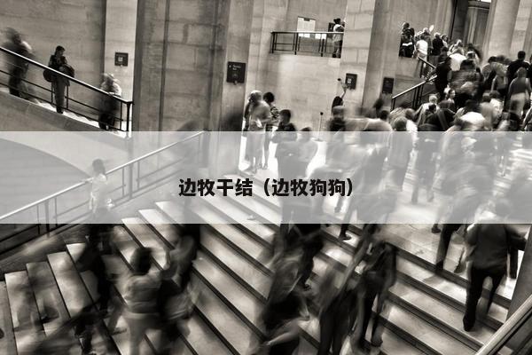 边牧干结（边牧狗狗）