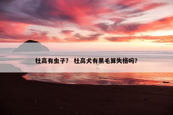 杜高有虫子？ 杜高犬有黑毛算失格吗？