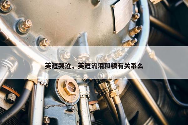 英短哭泣，英短流泪和粮有关系么