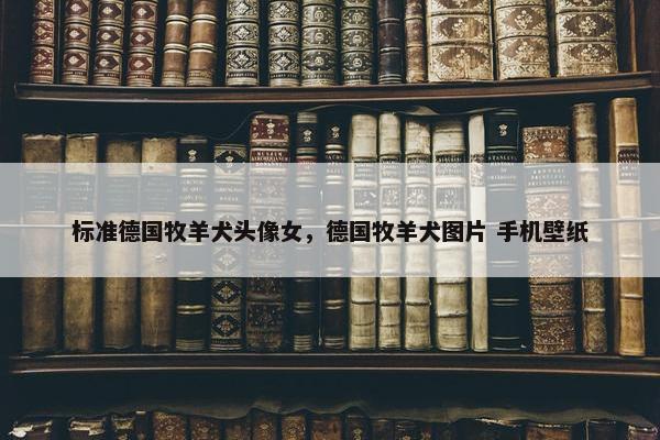 标准德国牧羊犬头像女，德国牧羊犬图片 手机壁纸