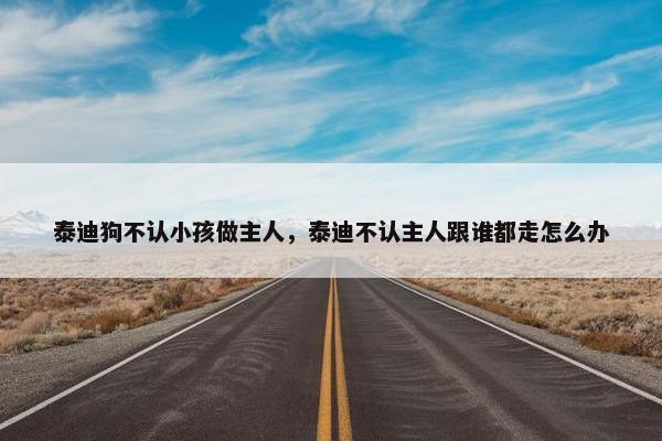 泰迪狗不认小孩做主人，泰迪不认主人跟谁都走怎么办