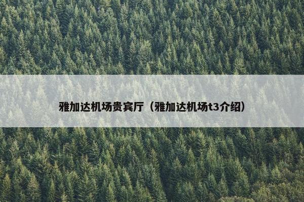 雅加达机场贵宾厅（雅加达机场t3介绍）