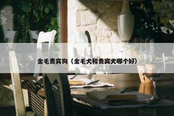 金毛贵宾狗（金毛犬和贵宾犬哪个好）