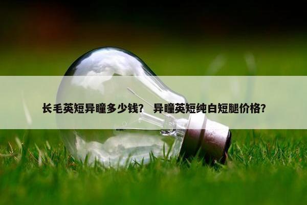 长毛英短异瞳多少钱？ 异瞳英短纯白短腿价格？