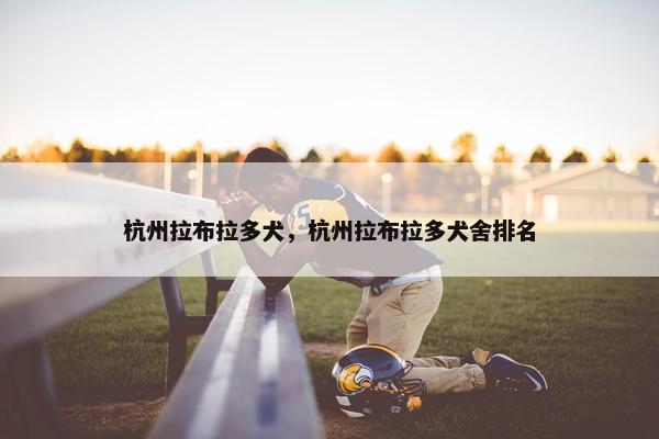 杭州拉布拉多犬，杭州拉布拉多犬舍排名
