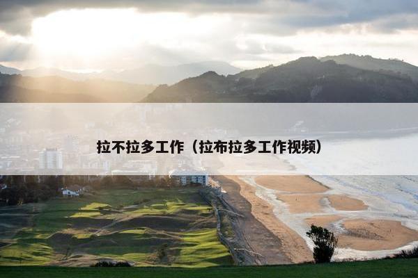 拉不拉多工作（拉布拉多工作视频）