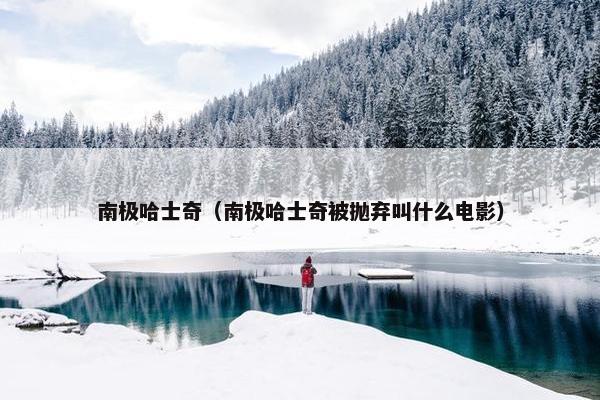南极哈士奇（南极哈士奇被抛弃叫什么电影）