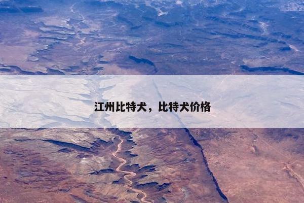 江州比特犬，比特犬价格